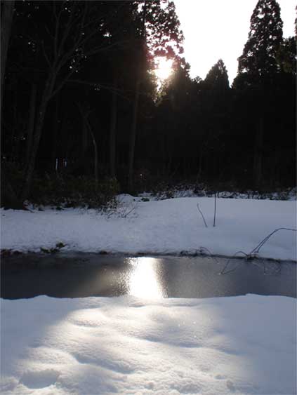 a0061599_750783.jpg