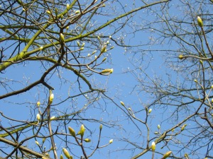 b0037799_16542236.jpg