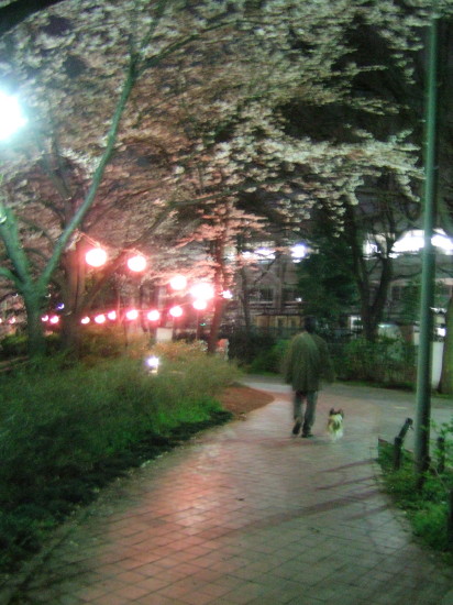 c0044199_23554031.jpg