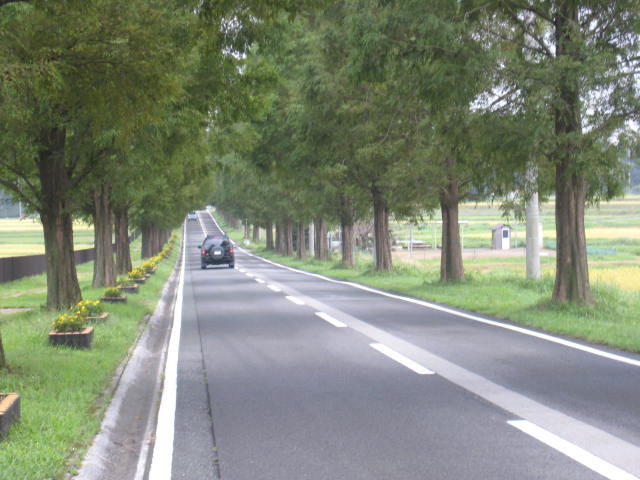 d0121300_13101250.jpg