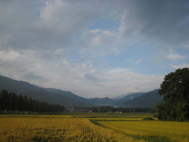 d0121300_13105719.jpg