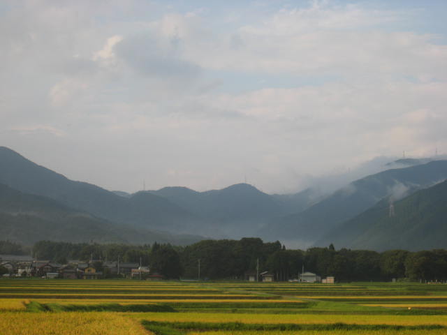 d0121300_13105926.jpg