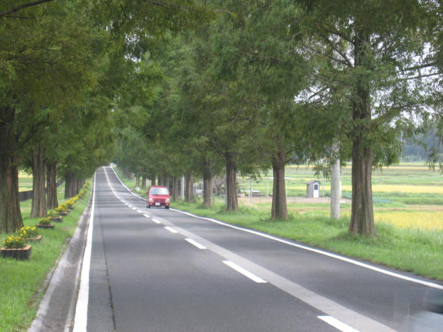 d0121300_1310745.jpg