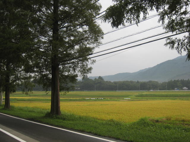 d0121300_1311317.jpg
