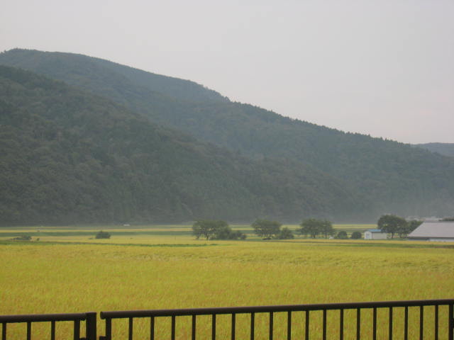 d0121300_1311764.jpg