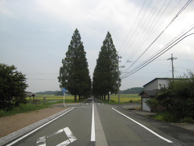 d0121300_1393526.jpg