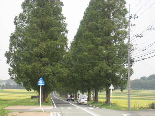 d0121300_1394898.jpg