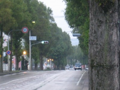 d0121300_23402135.jpg
