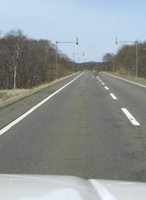 f0020302_219446.jpg