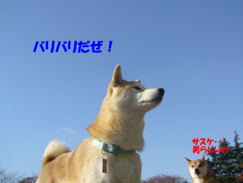 e0131506_23125820.jpg