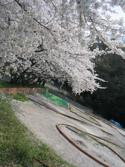 d0070007_20455218.jpg