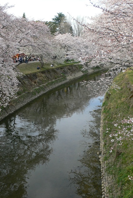 f0167007_805084.jpg