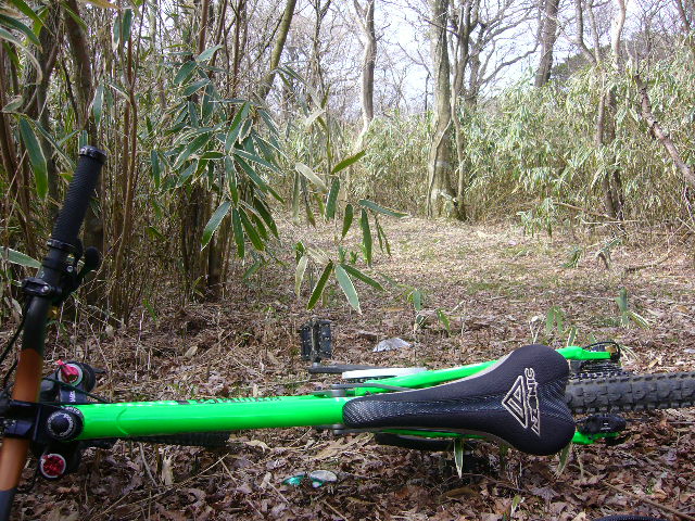 e0015108_13542930.jpg