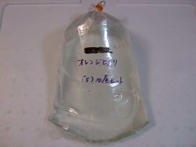 f0152308_9495214.jpg