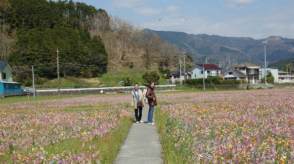 c0097309_1284269.jpg