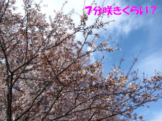 c0185516_20234870.jpg