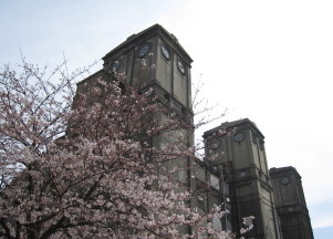 c0185516_2024215.jpg
