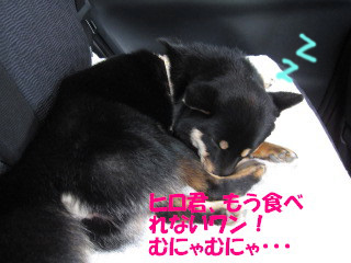 c0185516_21251856.jpg