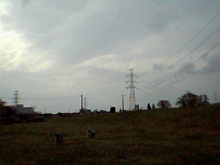 d0127716_2211418.jpg