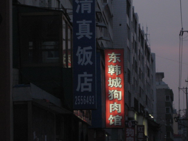 a0030217_9153278.jpg