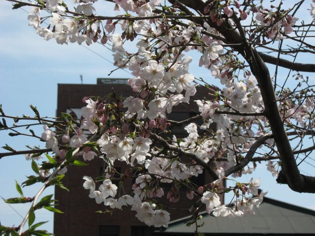 c0188527_17282248.jpg