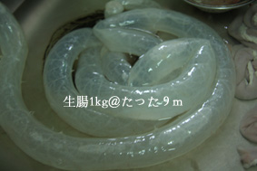 d0042827_034666.jpg