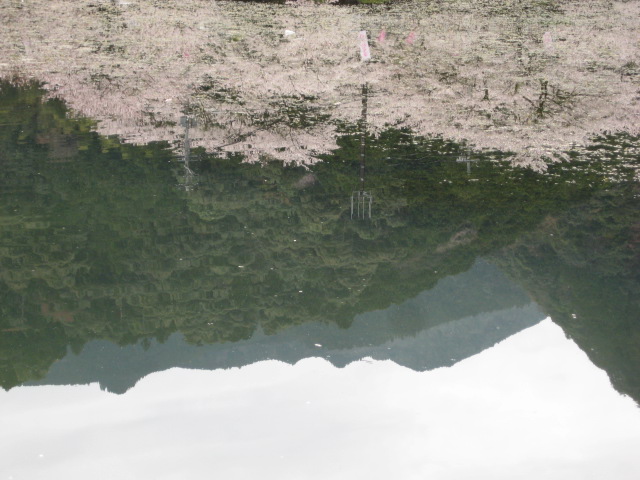 d0147727_23473471.jpg