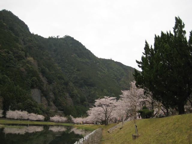d0147727_23485468.jpg