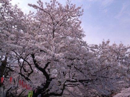 c0065430_23142827.jpg