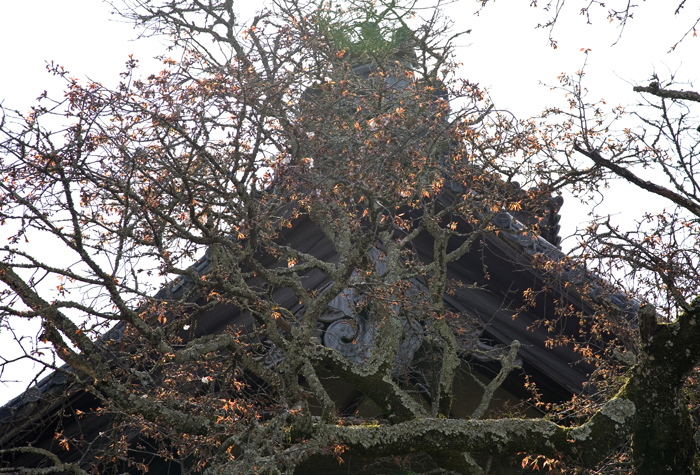 d0147530_6162218.jpg