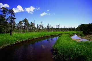 f0053130_20531152.jpg