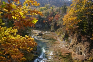 f0053130_2103761.jpg