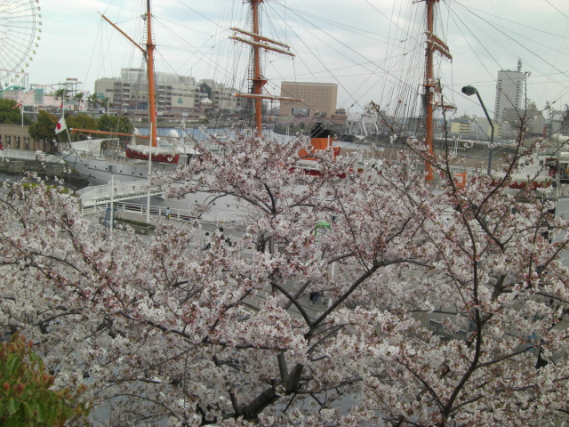 d0005632_18332818.jpg