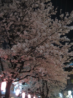 d0097534_23282457.jpg