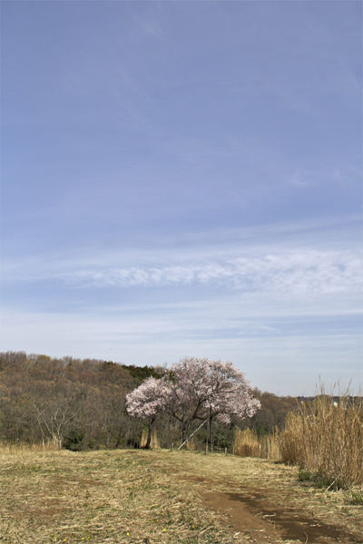 e0044635_13402047.jpg
