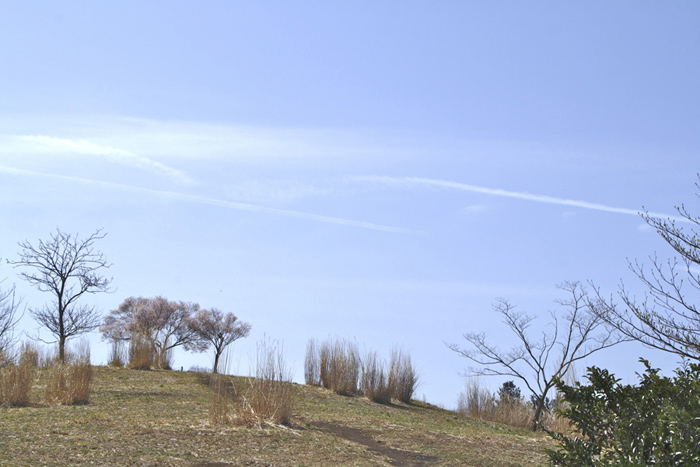 e0044635_1531235.jpg