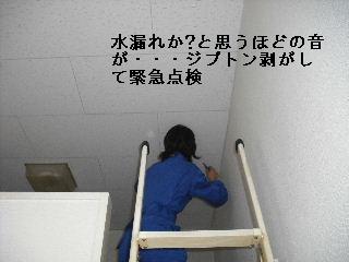 f0031037_2061654.jpg