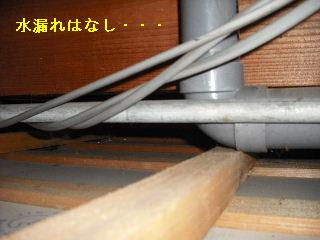 f0031037_2062528.jpg