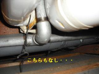 f0031037_2063329.jpg