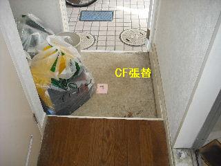 f0031037_2065881.jpg