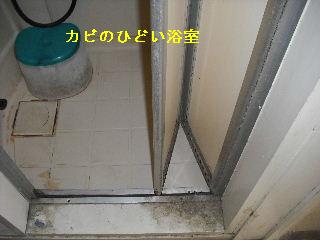 f0031037_206638.jpg