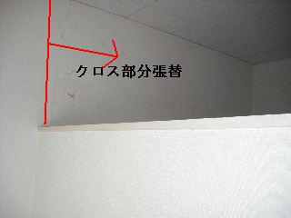 f0031037_2072261.jpg