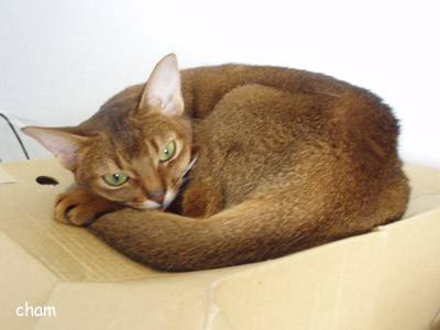 c0132438_21403274.jpg