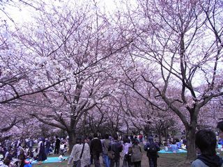 c0157540_17413634.jpg