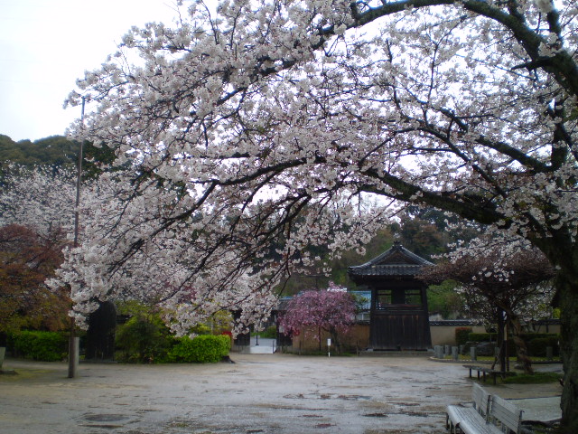 a0109742_233376.jpg