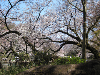a0115142_2337491.jpg