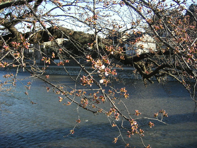 c0026846_18504979.jpg