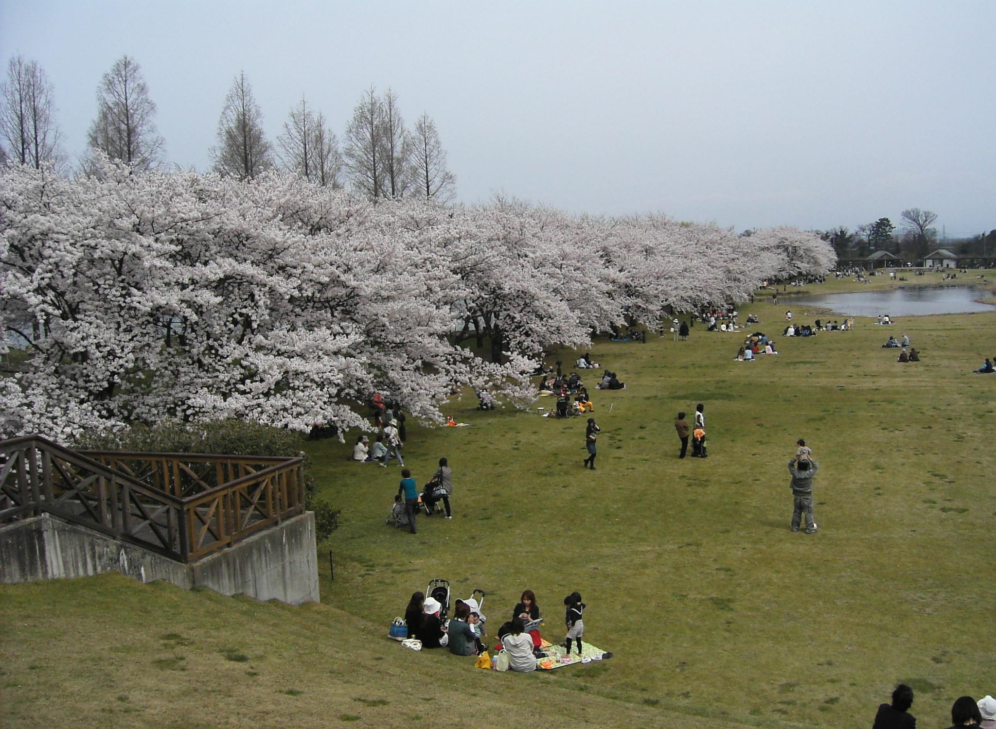c0026846_1912012.jpg