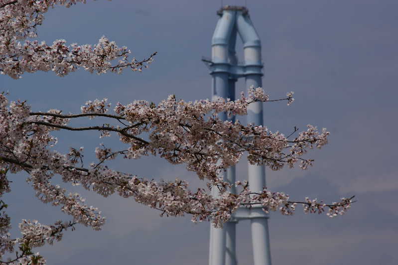 e0111346_13372442.jpg