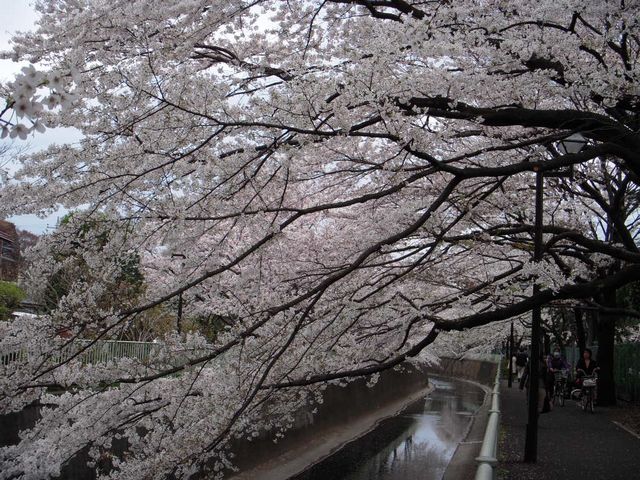 c0034850_20523565.jpg